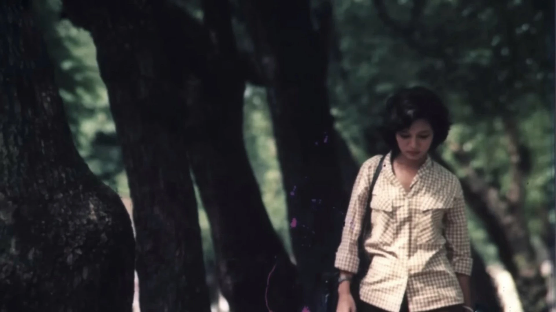 Cô gái trên sông - The Girl on the River