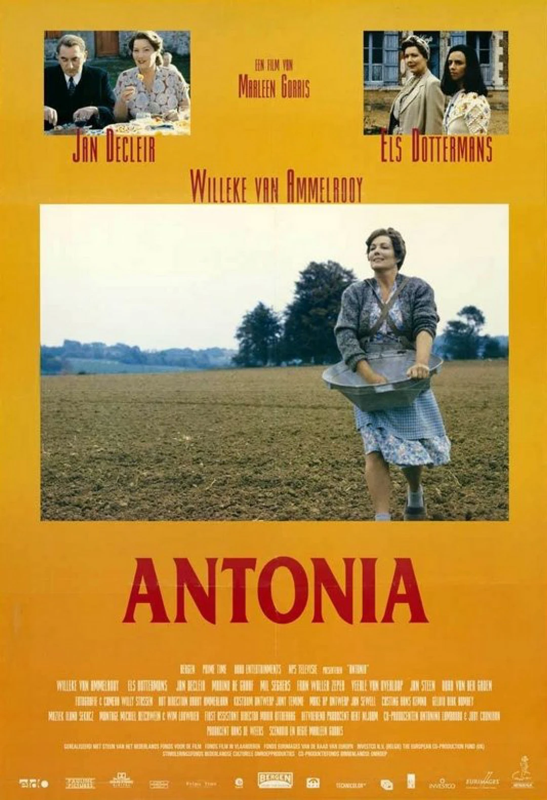 Dòng Antonia