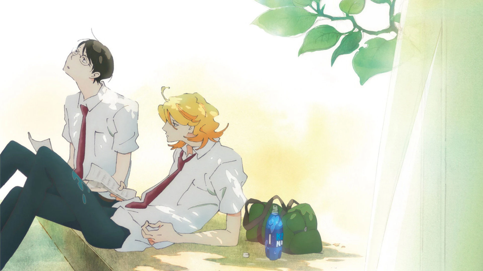 Dou kyu sei – Bạn cùng lớp - Dou kyu sei – Classmates