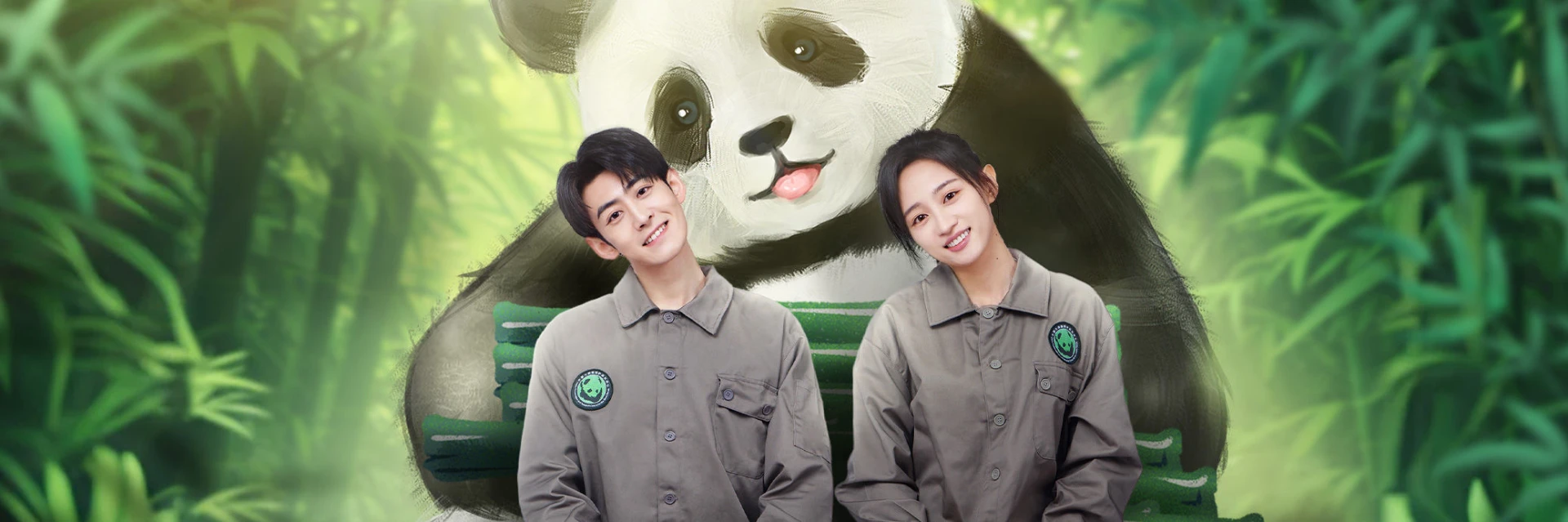 Gấu Trúc Và Bạn, Lăn Đến Đây!