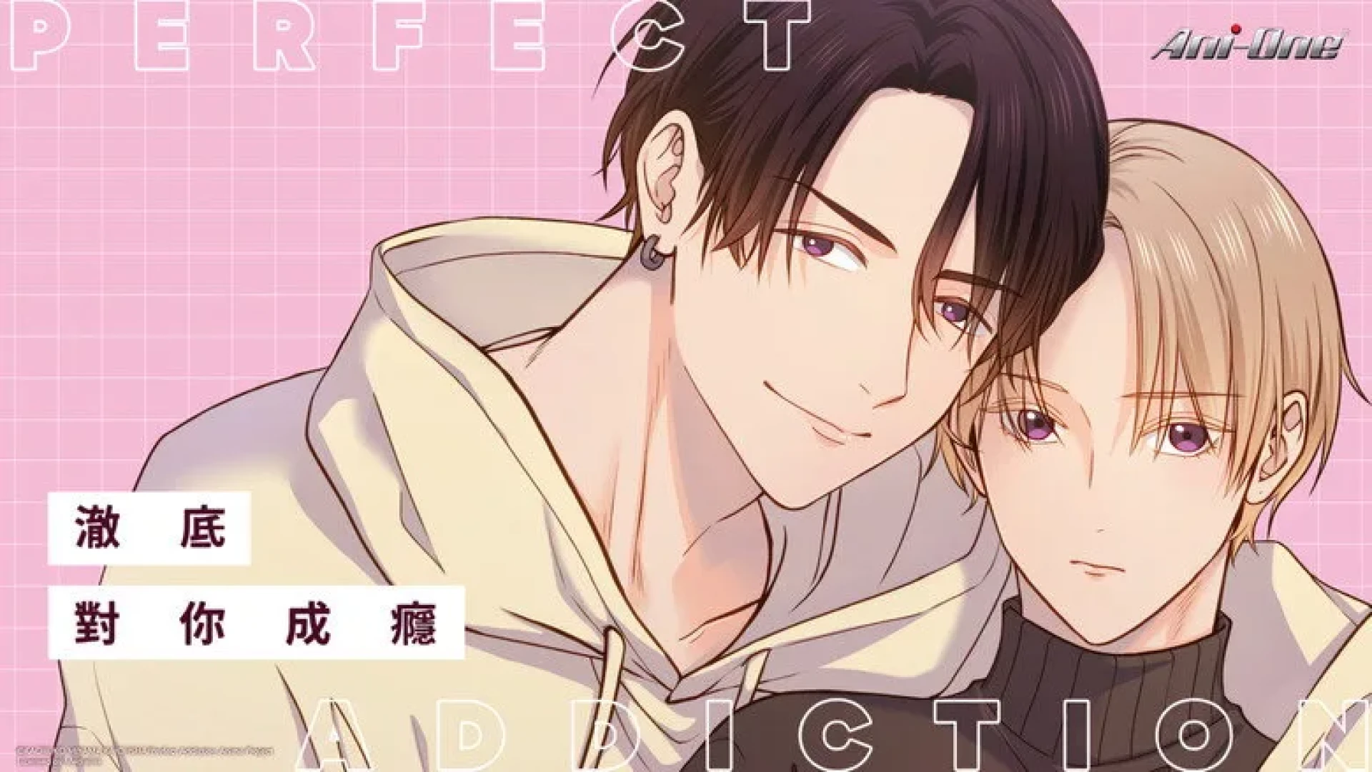 Sự Nghiện Ngập Hoàn Hảo - Perfect Addiction